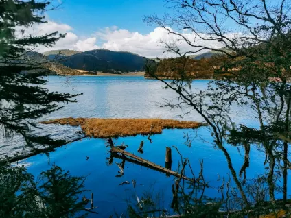 WagonBet Kazino Mobilā lietotne